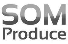 som-logo